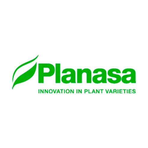 Logotipo de Planasa